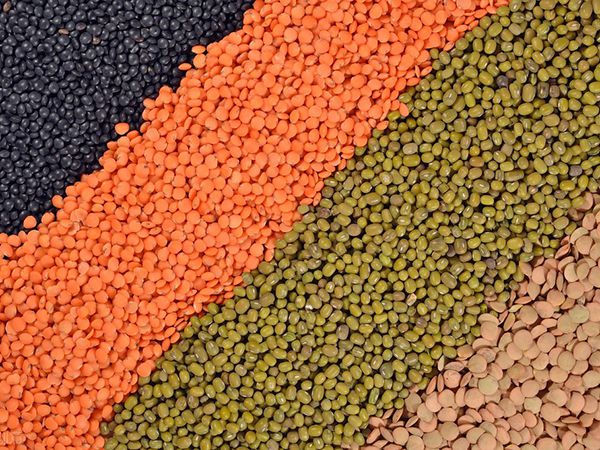 Sistemas de mistura industrial para a indústria de rações