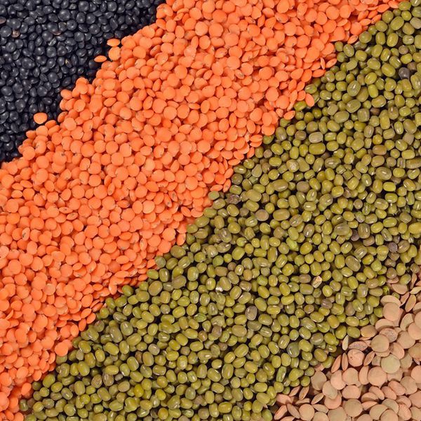 Sistemas de mistura industrial para a indústria de rações