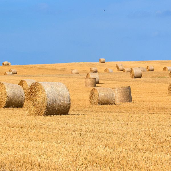 Equipamento de mistura de material a granel para a indústria agrícola